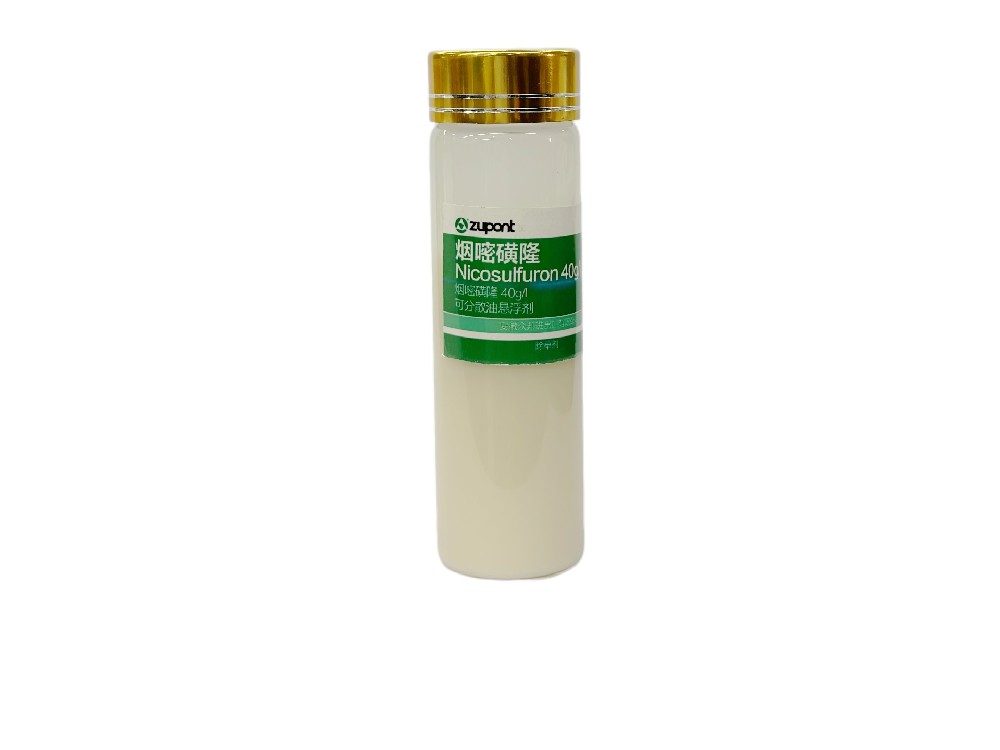 Nicosulfuron 40g/L OD,60g/L OD,75% WDG