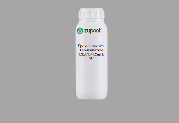 Epoxiconazole+Tebuconazole 120g/L+125g/L SC